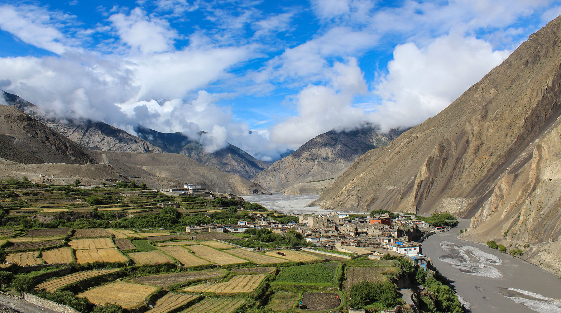 LOWER MUSTANG